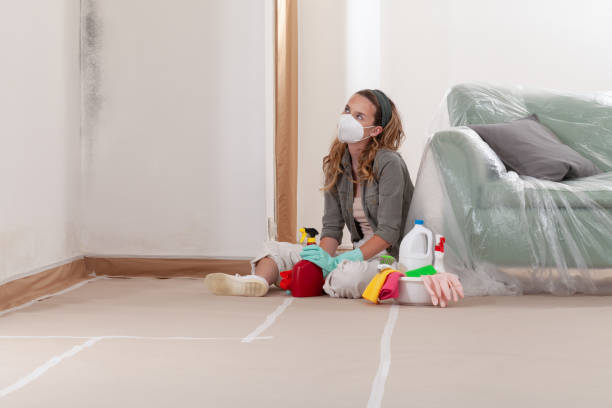 Reliable Black Mold Remediation contractor in Leonia, NJ by Mold Remediation HQ